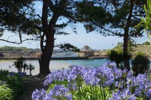 Maisons de vacances Ty bretz-l : photos des chambres