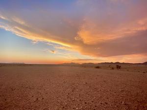 Sandseed