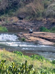 Uthuppans HolidayHome