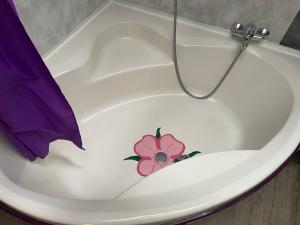 Appartement au cœur de Mirepoix