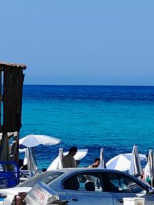 فندق روضة الأبيض see you soon