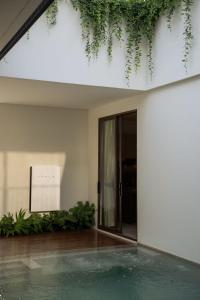 Tree Oclock Pool Villa - Phuket