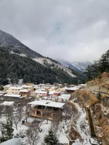 Apple Orchard Suite 1