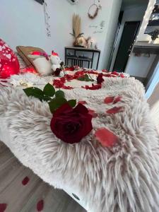 Chalets Chalet accueillant a Saint-Vincent-de-Tyrosse avec jardin : photos des chambres