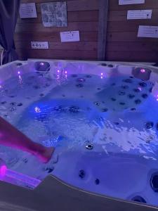 Chalets Chalet accueillant a Saint-Vincent-de-Tyrosse avec jardin : photos des chambres