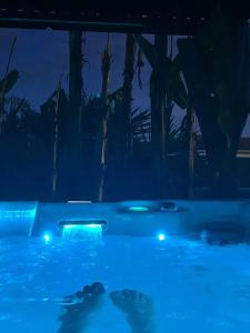 Chalets Chalet accueillant a Saint-Vincent-de-Tyrosse avec jardin : photos des chambres