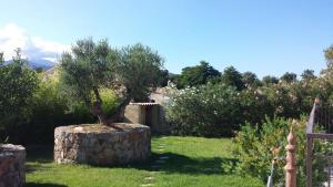Maisons de vacances Villa CORSE : photos des chambres