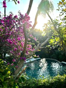 Unique tropical high class Oasis-Cook Driver Staff