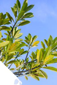 Abby May - Top location near Potato Head, walk everywhere!