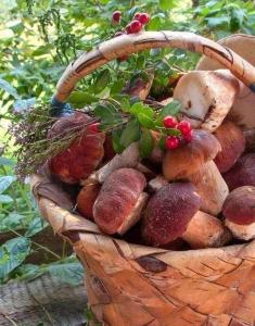 Agroturystyka Rębowo