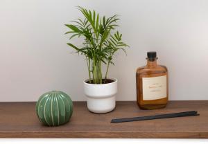 Suite Terre dOcre - Hypercentre - Wifi