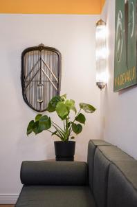 B&B / Chambres d'hotes Maison Joyeusete, Cite de Carcassonne 7 min, Piscine 20m chauffee toute l-annee, Clim, Parking : photos des chambres