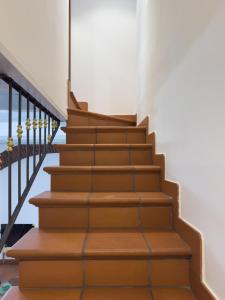 Orea Spiti - Vault Eleven