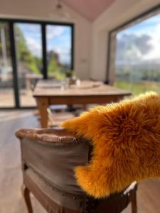 The Bw thyn - Ceredigion