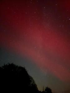 The Bw thyn - Ceredigion