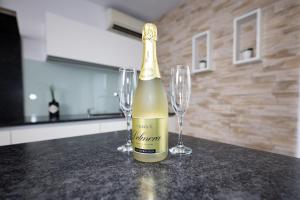 Riedwohnung 1- Lustenau