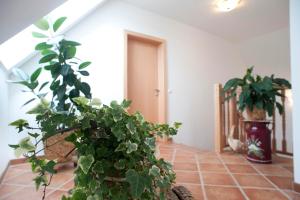 Ferienwohnung Schulter