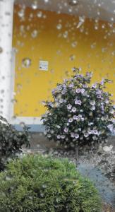 Ferienwohnung Schulter