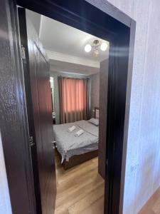 კომფორტული ბინა ცენტრში