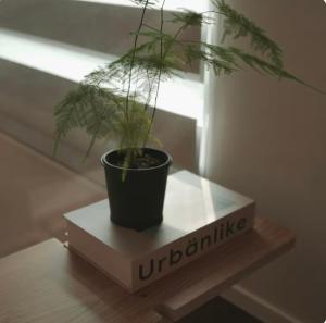 Seongsu 10 minutes, K-Architectural Designers Unique House