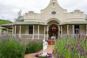 Bakenskraal Ostrich Palace - 奥茨胡恩