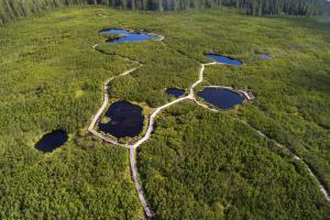 Kavenija apartmaji - Free Parking