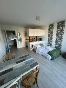 Studio Le Bonheur avec parking sous-sol privatif - 沙特尔