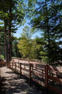 Camping Essenza Alpina