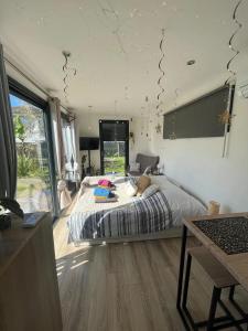 Chalets Chalet accueillant a Saint-Vincent-de-Tyrosse avec jardin : photos des chambres