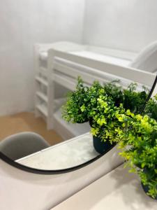 Dahlia Kulim Pool Homestay