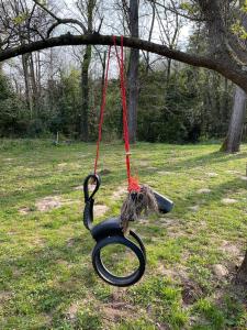 Maisons de vacances Le Moulin Haut Gites : photos des chambres