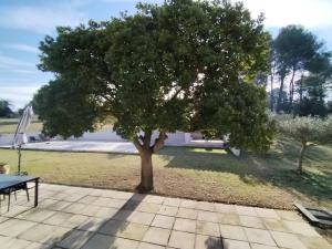 Close to Saint-Rémy-de-Provence