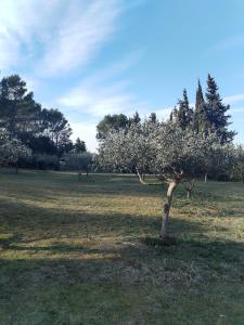 Close to Saint-Rémy-de-Provence