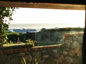 29 on Edward - 4 bedroom House