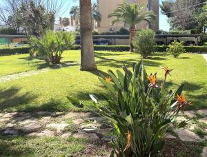 Apartamento Dénia, playa Els Molins 100m