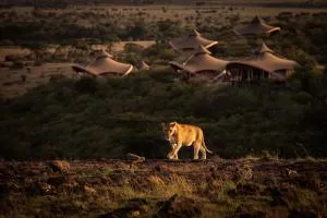 Mahali Mzuri - Narok