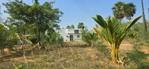 KK Dream Garden - Chettinadu