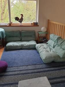 B&B / Chambres d'hotes Chambres d-hotes, Le champ fleuri : photos des chambres
