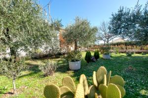 Vacation House Ana I Istrian Green Retreat