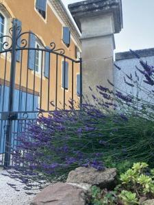 B&B / Chambres d'hotes DOMAINE FORVENT : photos des chambres