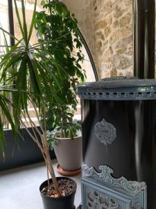 B&B / Chambres d'hotes DOMAINE FORVENT : photos des chambres
