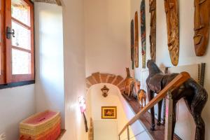 Villa del Conte img28