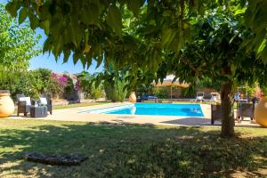 Villa del Conte img7