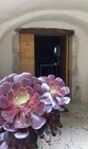 B&B / Chambres d'hotes DOMAINE FORVENT : photos des chambres