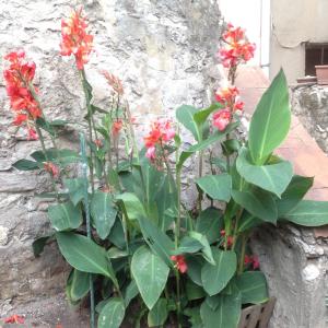 Appartements La Terrasse du Mole : photos des chambres