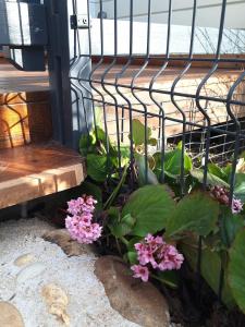 Appartements Studio Cosy - Proche Lyon : photos des chambres