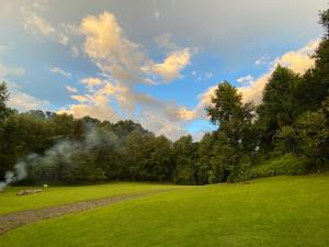 Sumérgete en el bosque Citlalapa