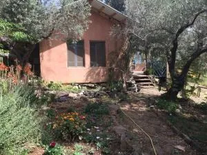 The house of Kadita - Bar Yohai