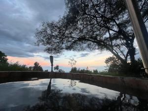 Escápate a un bosque mágico Citlalapa