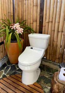 Escápate a un bosque mágico Citlalapa